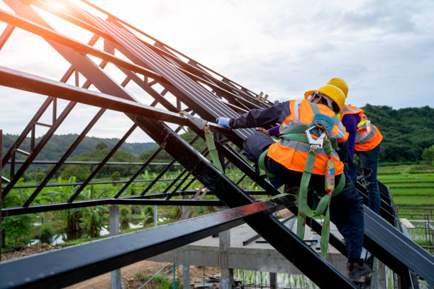 Best Sealant for Roof  in Sterling Heights, MI
