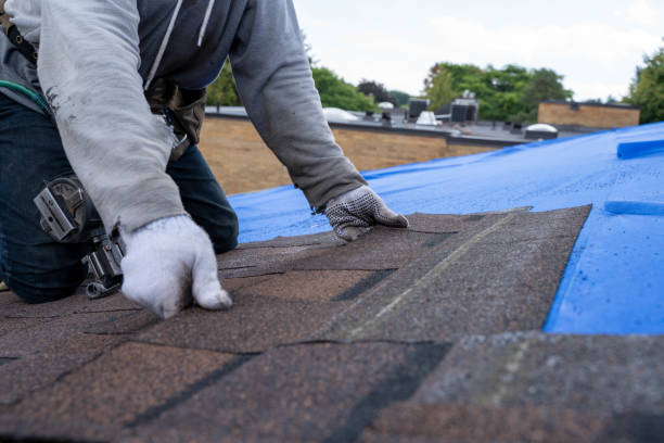 Best New Roof Installation  in Sterling Heights, MI