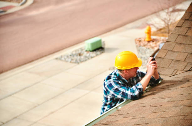 Roof Gutter Cleaning in Sterling Heights, MI