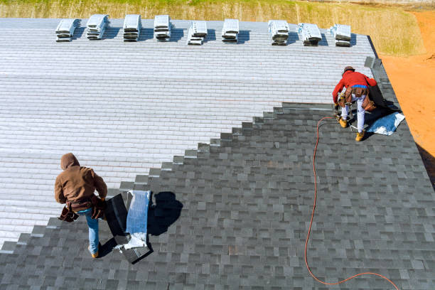 Best Roof Waterproofing Services  in Sterling Heights, MI