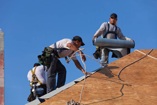 Best Emergency Roof Repair  in Sterling Heights, MI