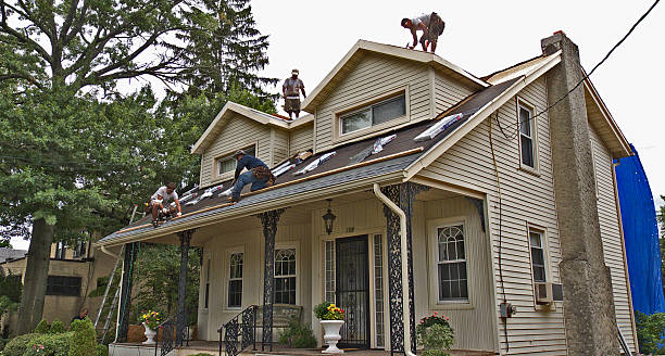Best Roof Leak Repair  in Sterling Heights, MI