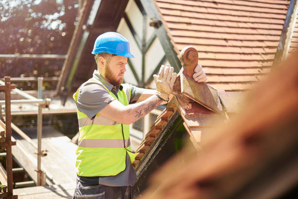 Best Roof Repair Services  in Sterling Heights, MI